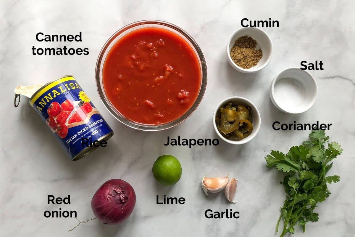 top view of individual ingredients for tomato salsa laid out on a table