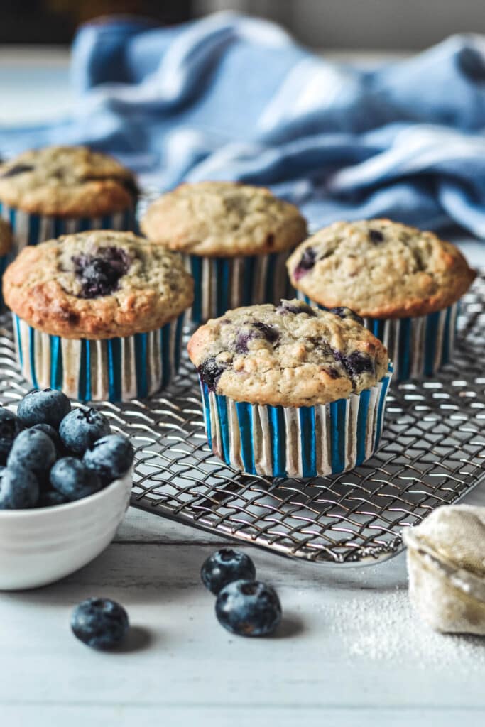 cupcakes arranged on a wire cooling rack with blueberries.