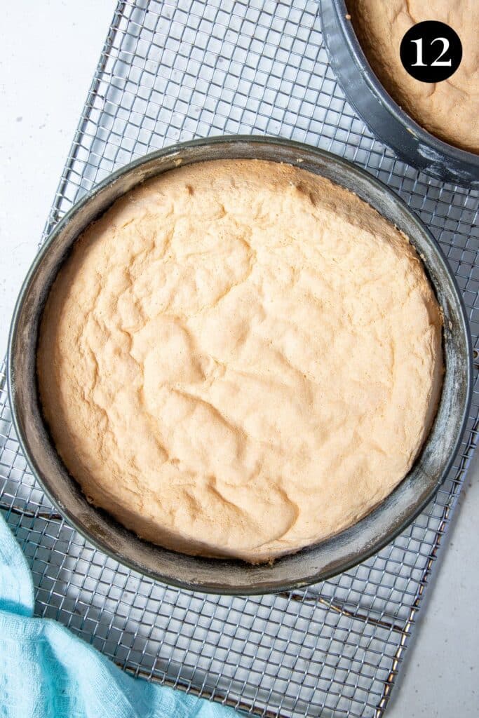 finished sponge cake in a baking tin.