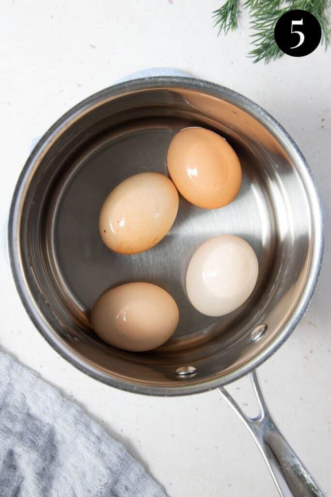 eggs in a pot of water.