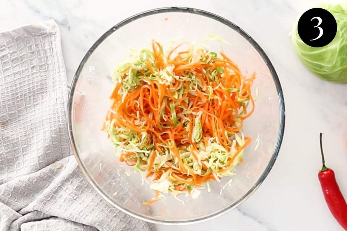 shredded vegetables in a bowl with salt.