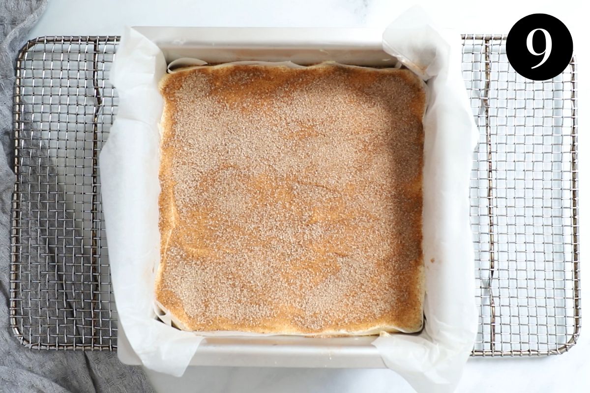 cinnamon sugar sprinkled over sour cream layer in a slice tin.