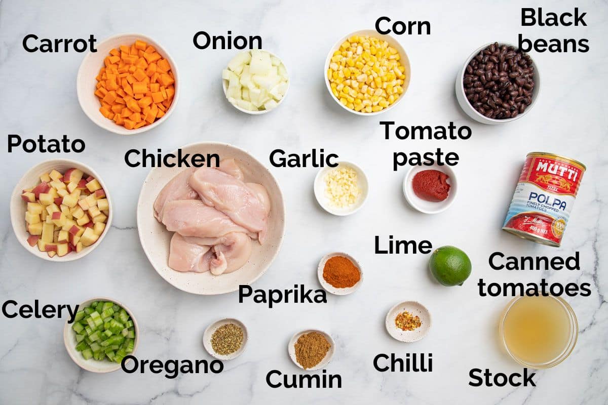 all ingredients for Mexican soup, laid out on a table.