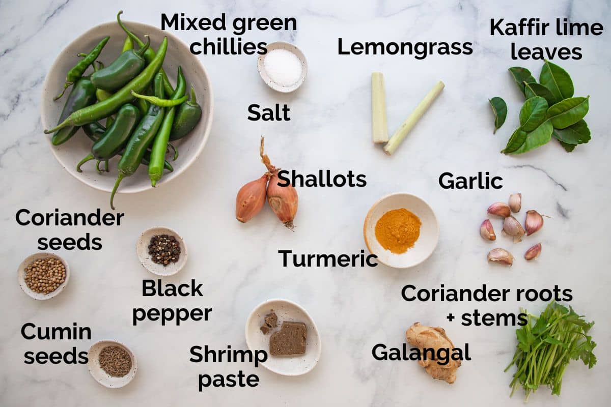 all ingredients for green chilli paste laid out on a table.