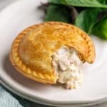 a pie on a plate, cut open to show a creamy chicken filling.