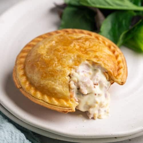 a pie on a plate, cut open to show a creamy chicken filling.